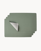 Manteles individuales (set de 4) 43x30 cm