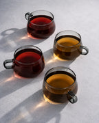 Tazas de café de vidrio Olea (set de 4) 280 ml